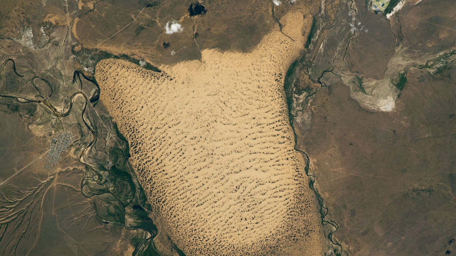 Featured image for Giant Sandy 'Slug' Moves Through Kazakhstan Floodplains, Threatened by Freezing