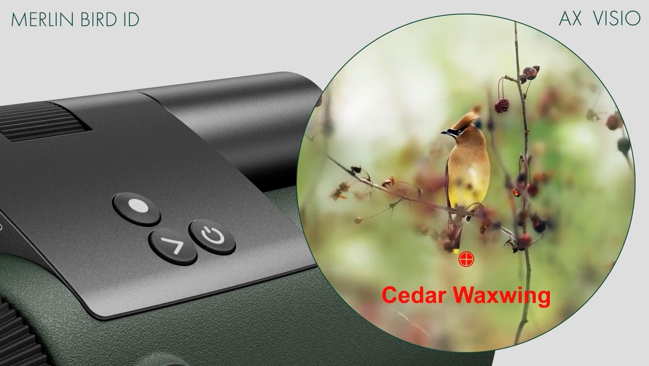 Featured image for "Smart Binoculars: AI Revolutionizes Birdwatching with Swarovski and Marc Newson"