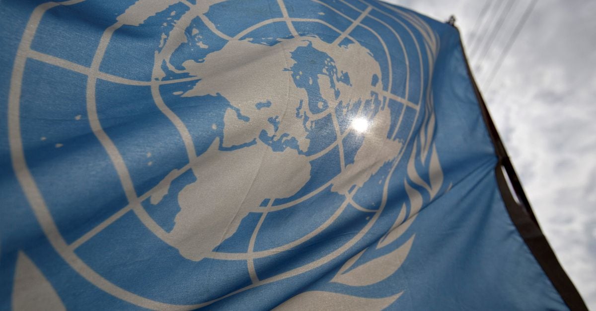 Russia's Veto Ends UN Sanctions in Mali