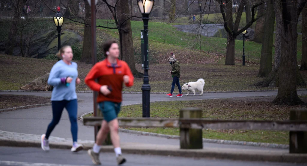 Featured image for "Central Park Attacks: Actor and Woman Targeted by Assailants"