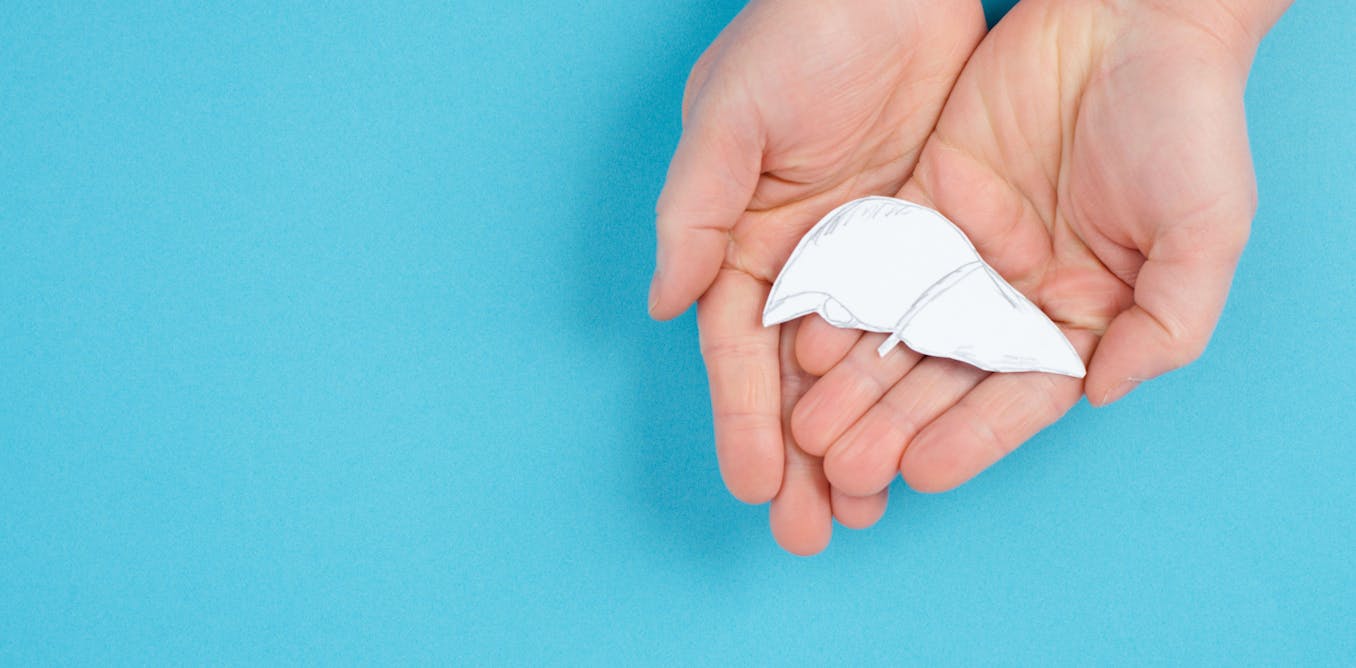 Featured image for "Liver Disease: A Potential Cause of Many Dementia Cases?"