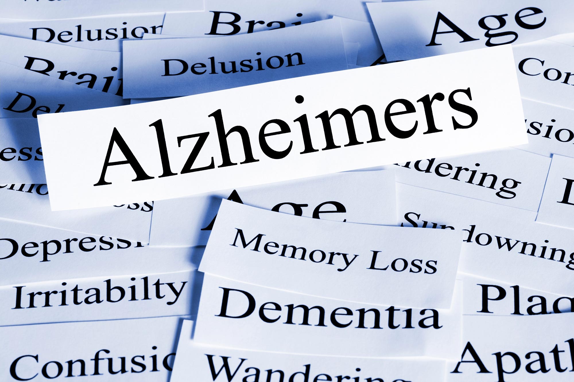 Scientists Find Hopeful New Alzheimer’s Therapy