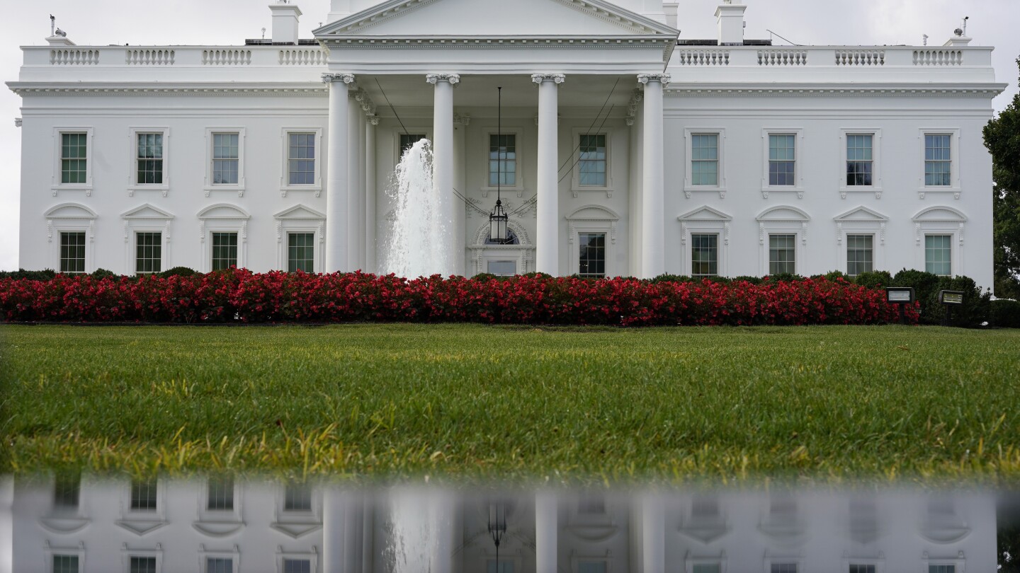 "The 2024 Election: A Pivotal Turning Point for American Democracy"