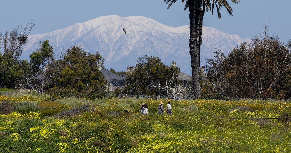 Featured image for "California Braces for Dramatic Temperature Drop, Hail, and Thunderstorms"