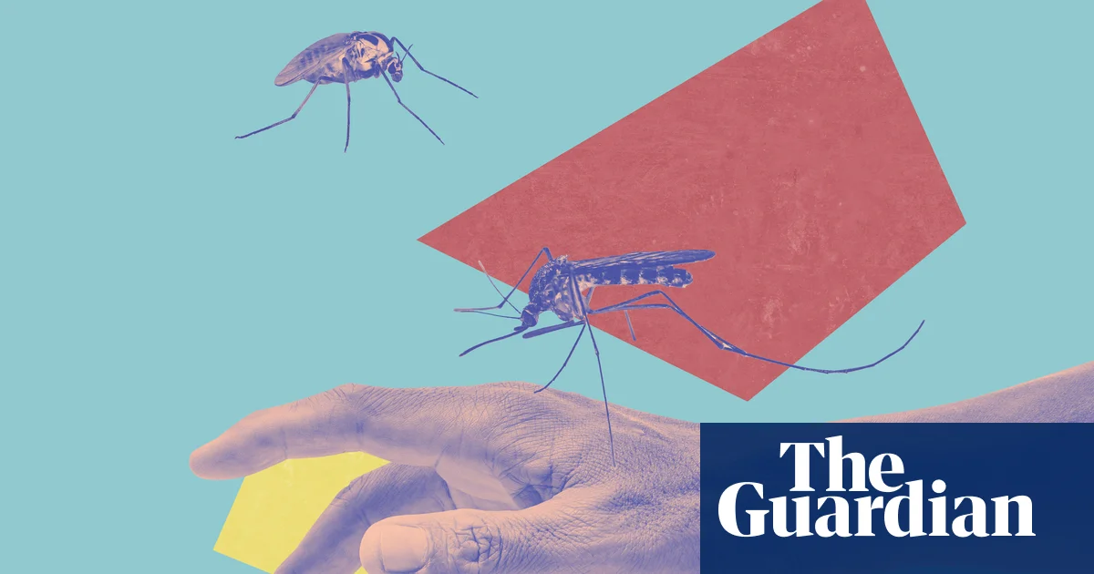 Featured image for Expert Tips to Prevent and Treat Insect Bites and Allergic Reactions