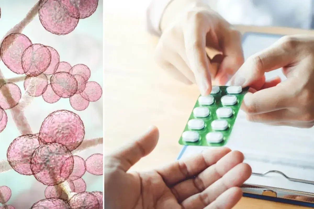 New York Faces a Rising Superbug Challenge Fueled by Antibiotic Misuse