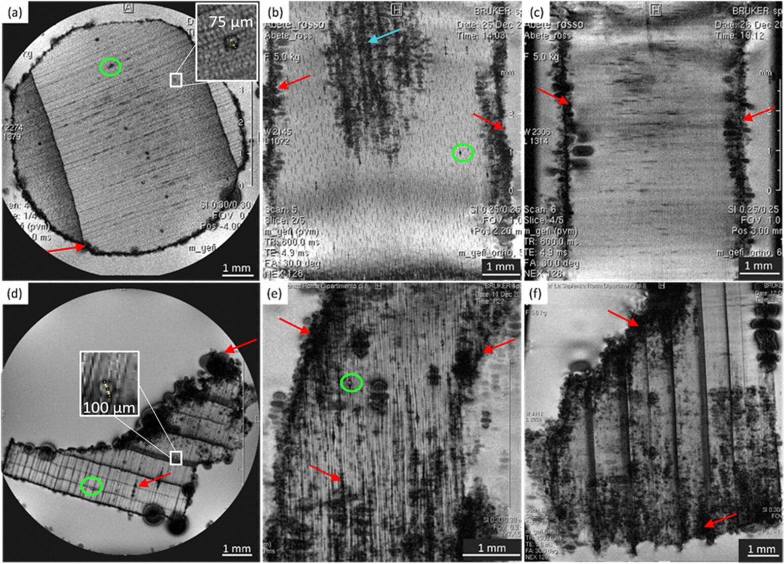 Featured image for MRI Technology Reveals Secrets of Ancient Roman Harbor Structures