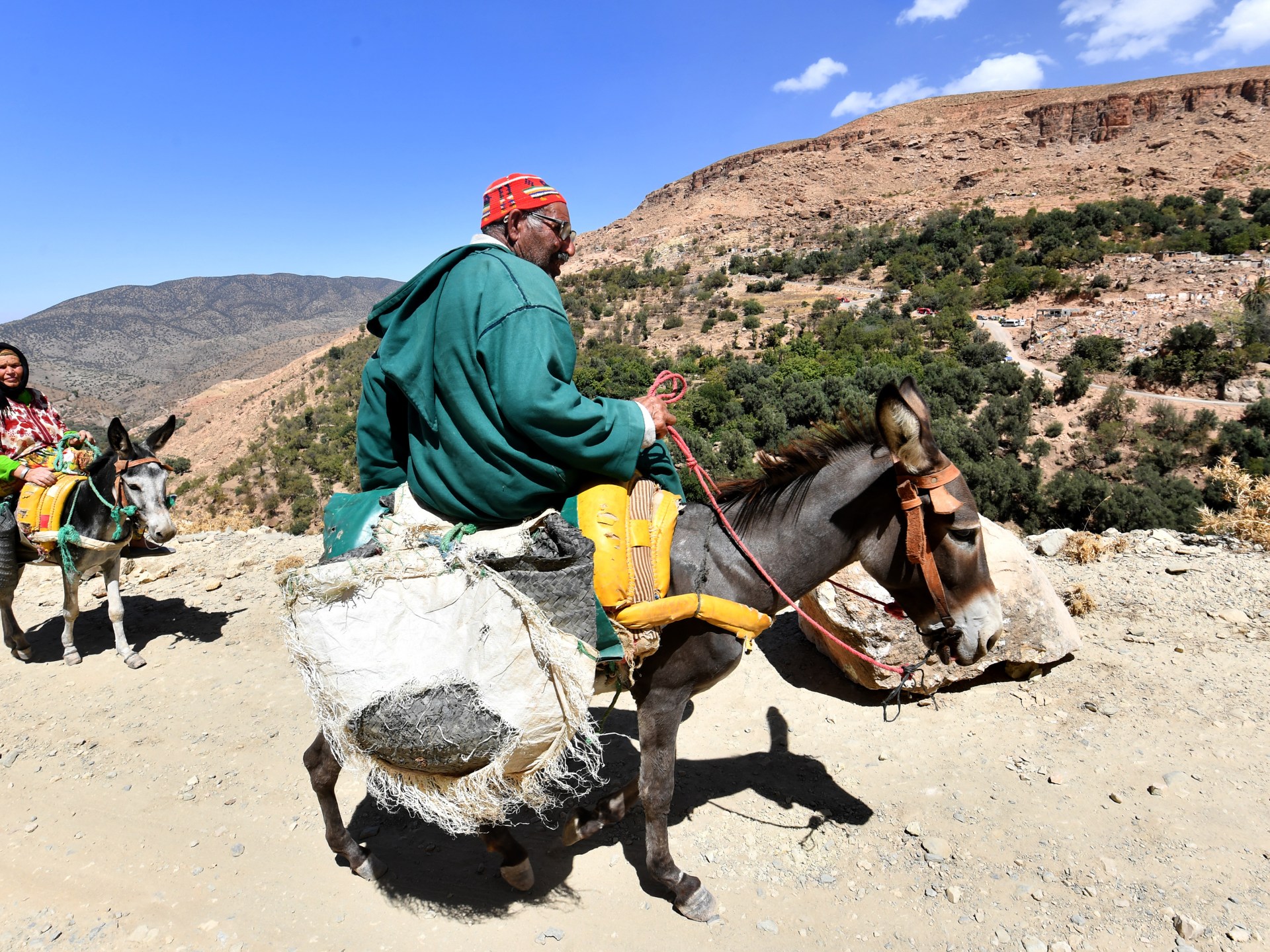 Featured image for "Unlikely Heroes: Donkeys Aid in Morocco Earthquake Chaos"