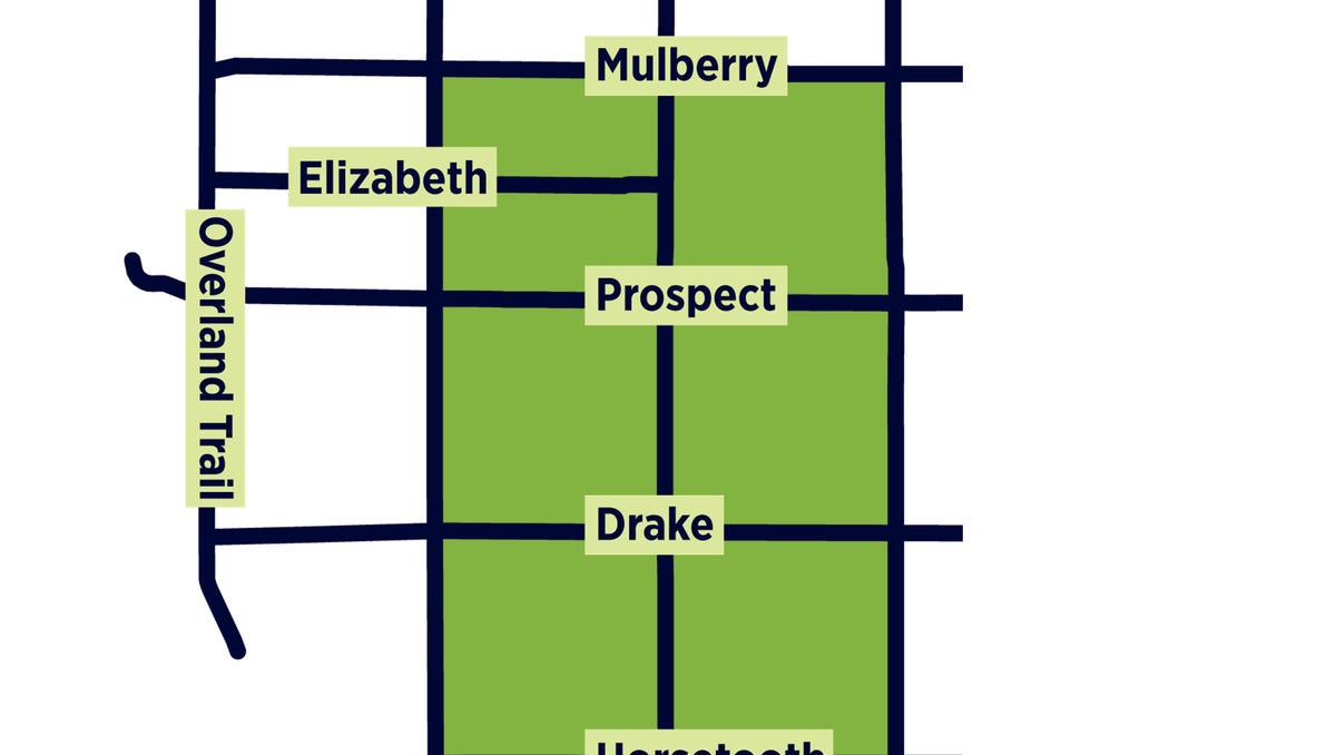 Featured image for Mosquitoes in Fort Collins show increasing resistance to insecticide sprays