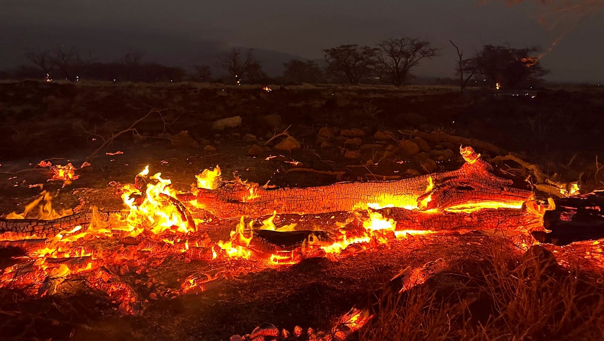 Maui Wildfires: Rebuilding and Recovery Efforts Continue