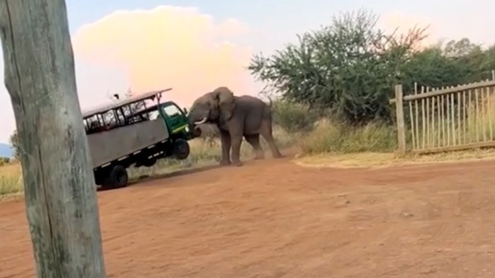 Enraged Bull Elephant Lifts Safari Truck, Terrifying Tourists