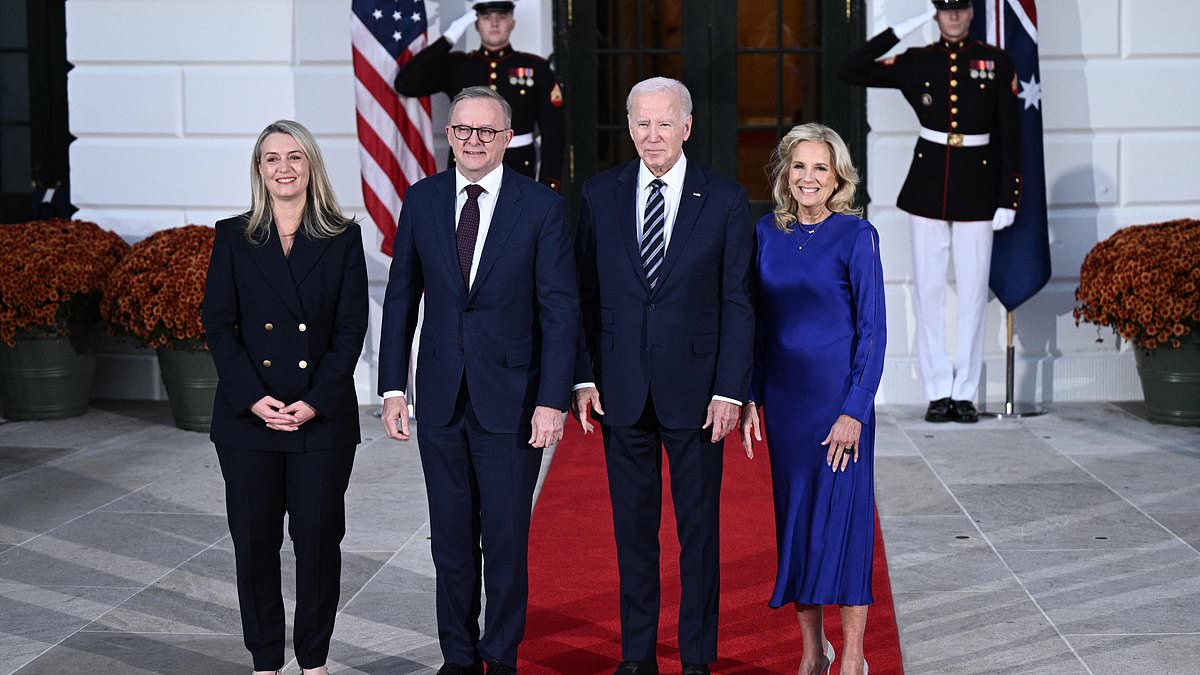 Jill Biden's Low-Key State Dinner Reflects Israel's Sorrow and Pain