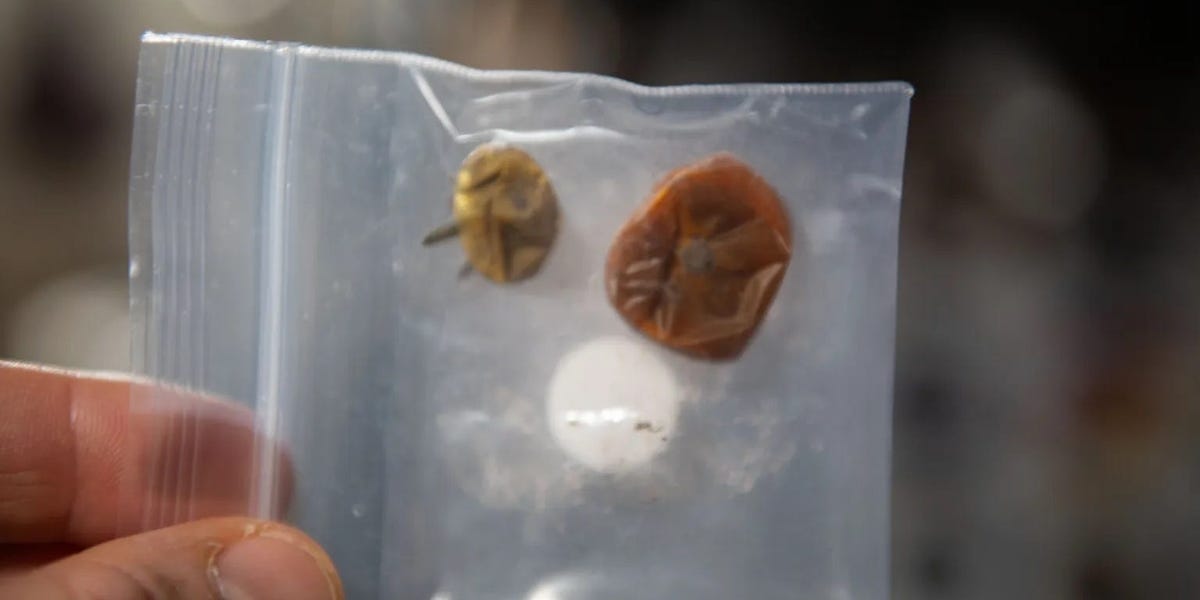 Featured image for Lost Tomato Found: NASA's Discovery of a Space-Stranded Tomato