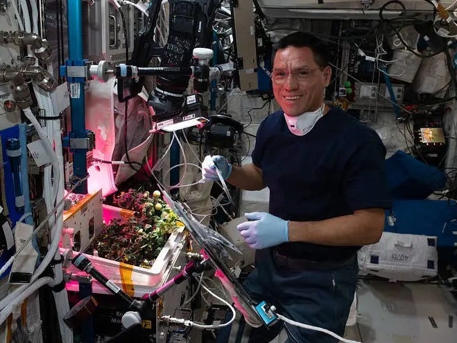 Lost Tomato Found on ISS After 8 Months, Clearing Astronaut of Accusations