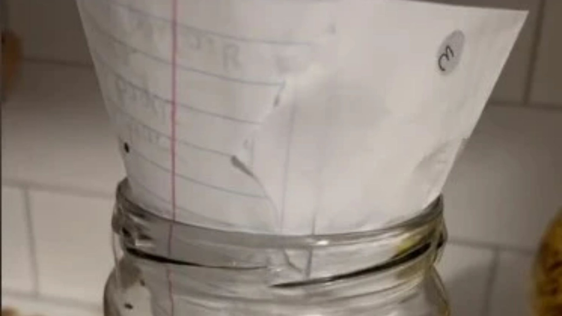 Featured image for "Say Goodbye to Fruit Flies with This Clever Paper Trick"