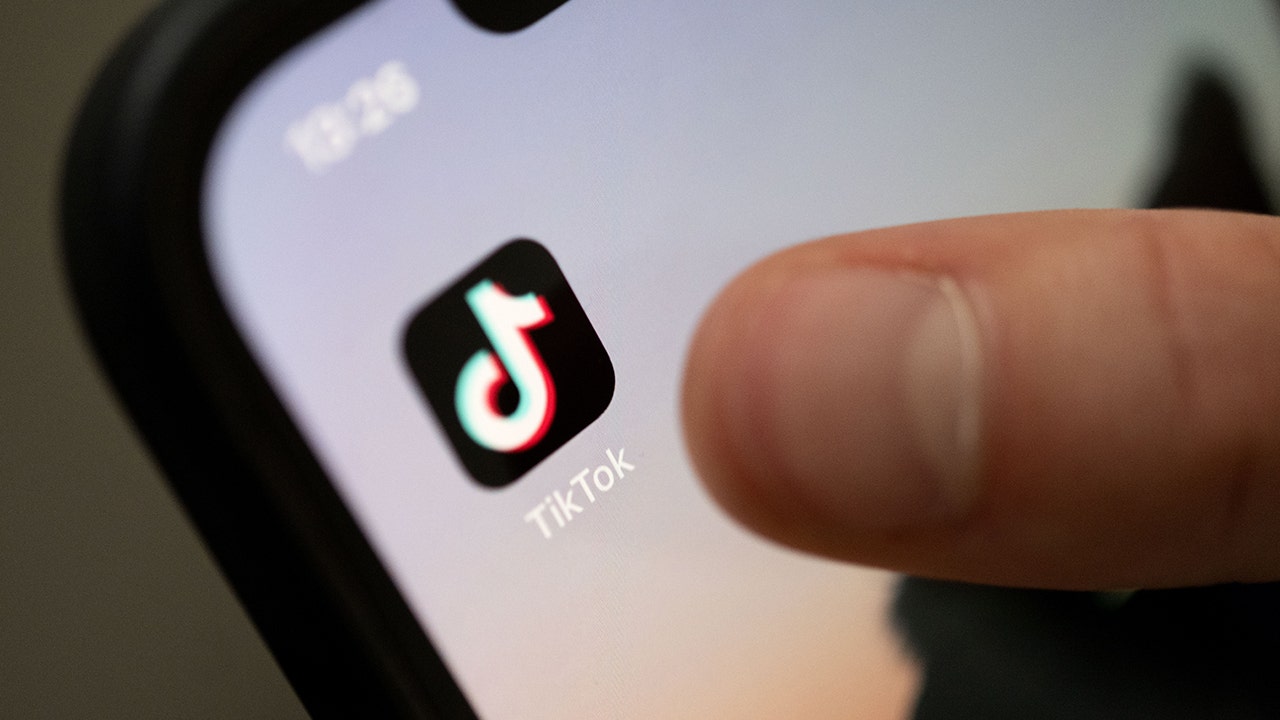 The TikTok Ban Debate: Patriot Act for the Digital Age or Only Way Forward?