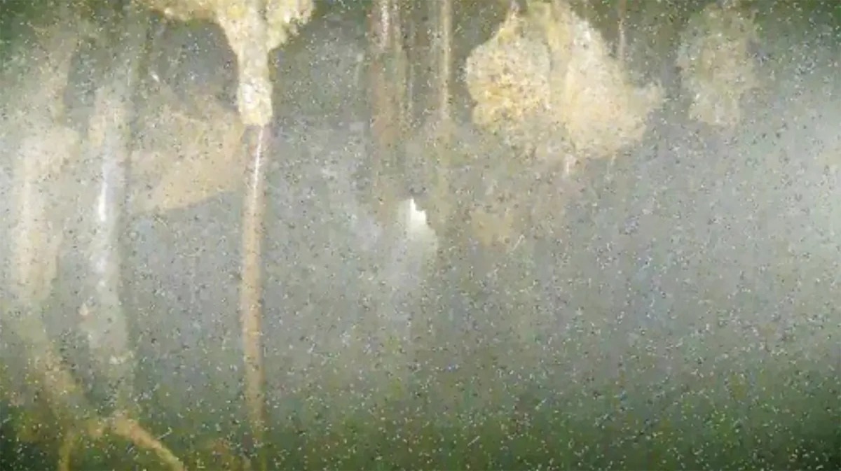 Featured image for "Unveiling the Damage: Deep Inside the Melted Fukushima Reactor"