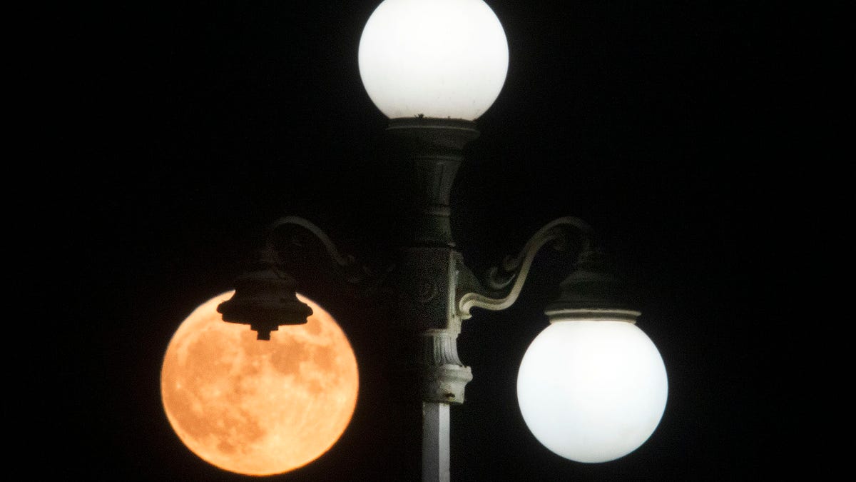 Featured image for Hunter's Moon: Your Guide to the Next Full Moon in October