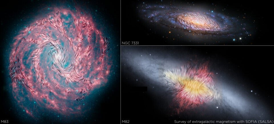 Unveiling the Hidden: Uncovering Fluctuations in Extragalactic Magnetic Fields