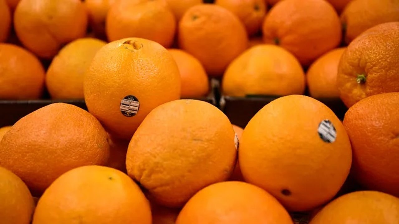 Featured image for Orange Juice Makers Eye Alternative Fruits Amid Soaring Costs