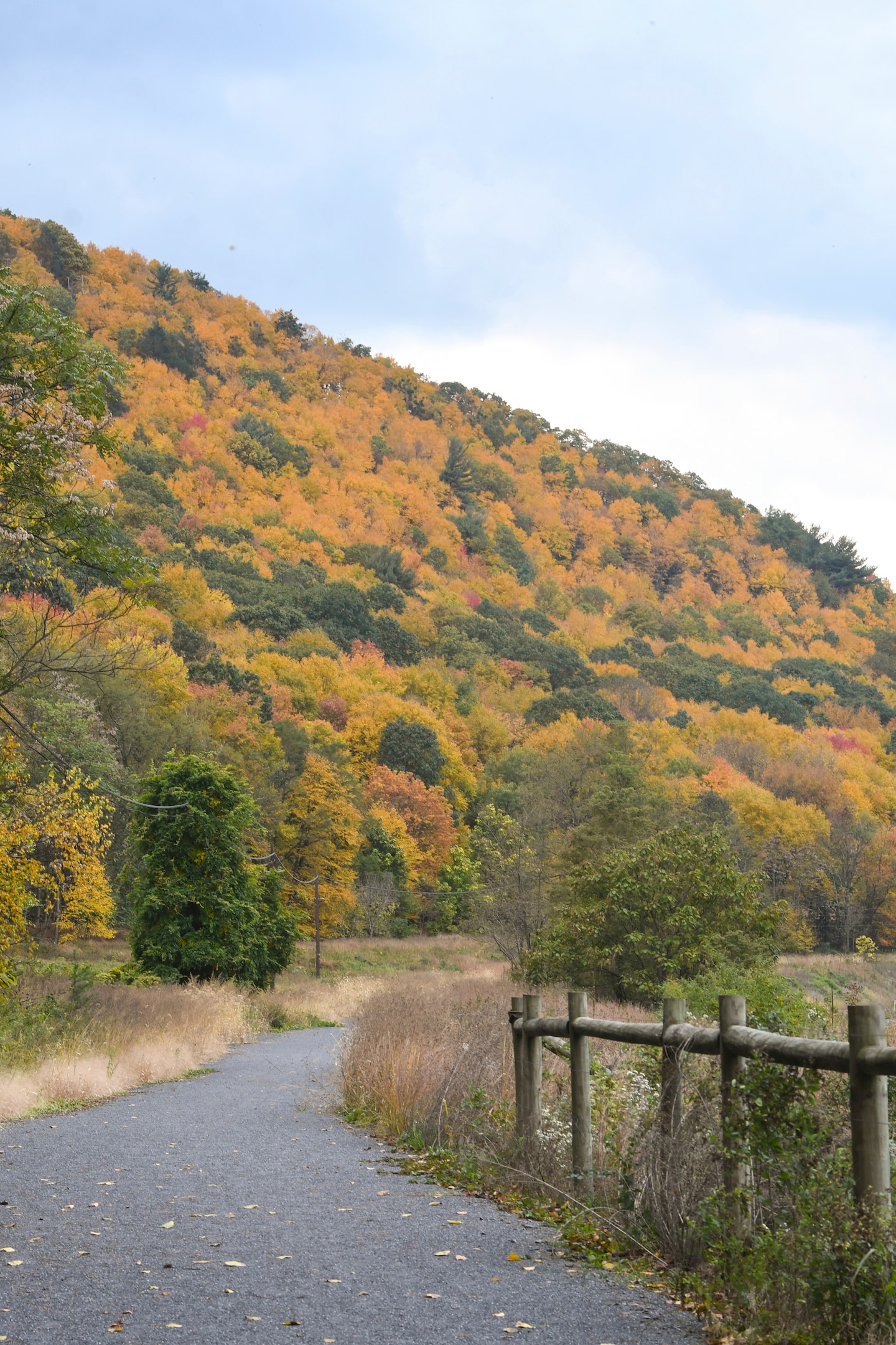 Featured image for "Unforgettable Saturday: Vibrant Fall Colors, Abnormal Warmth, and Moonlit Magic"