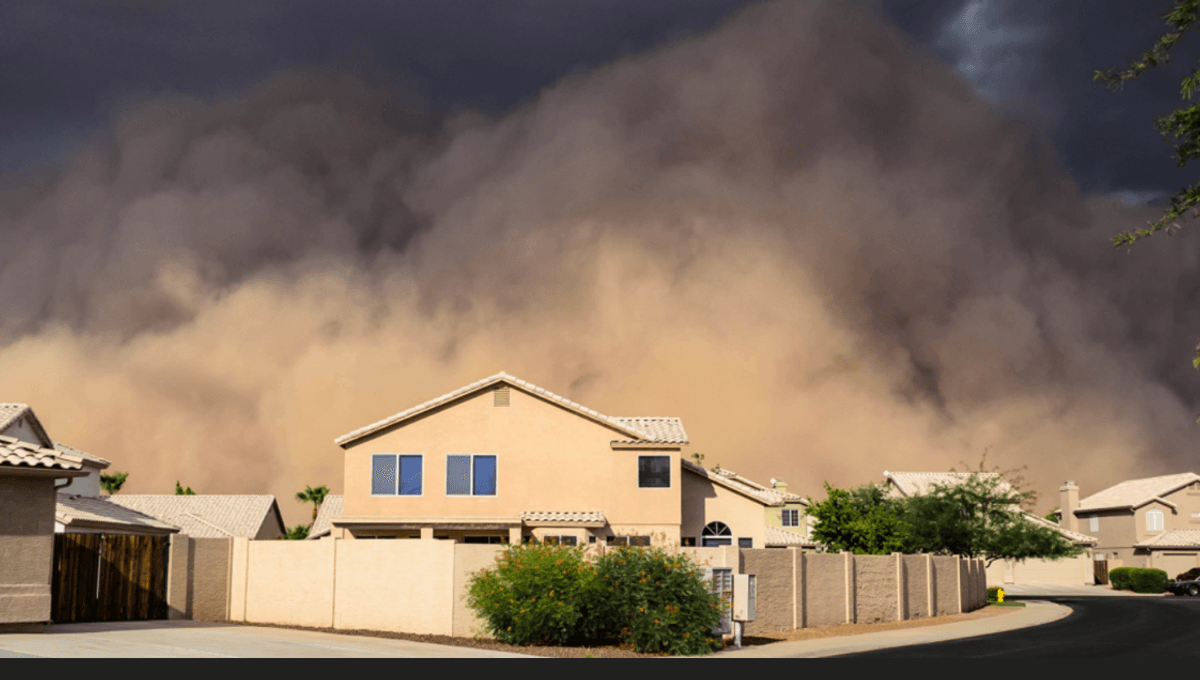 Featured image for "The Rise of Nature's Most Intimidating Spectacles"