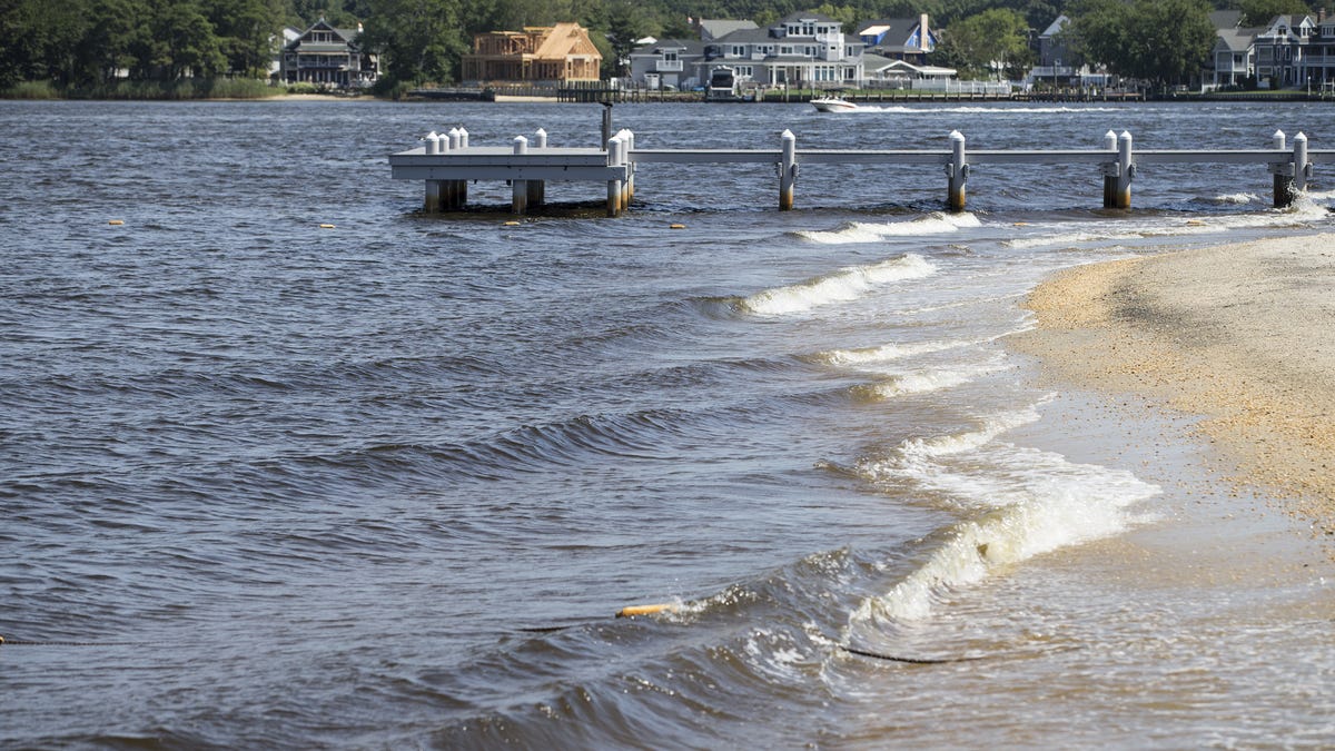 Featured image for "Fecal Bacteria Advisory Issued for Jersey Shore Beaches"