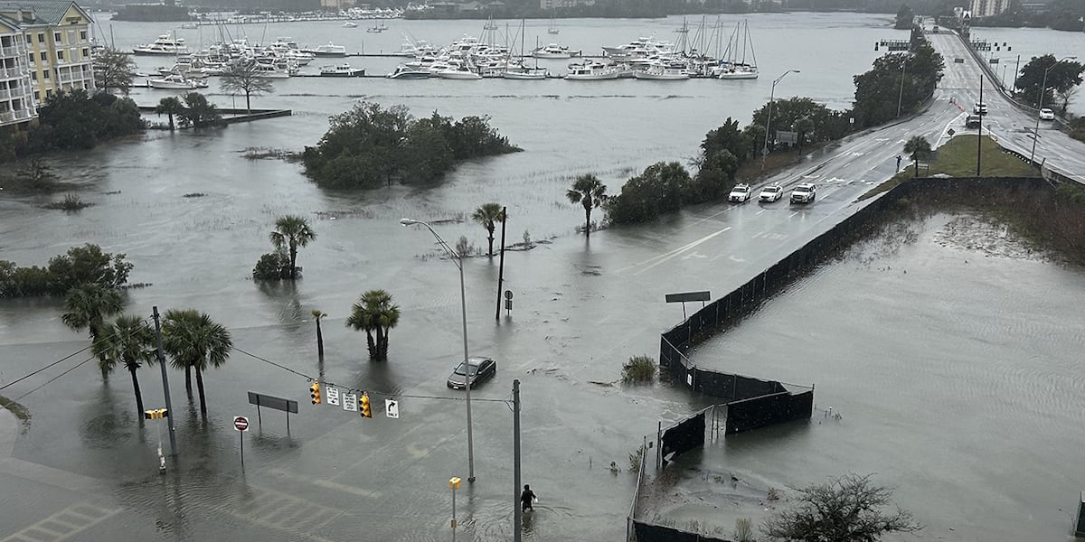 Coastal Cleanup: Storms, Floods, and Tornadoes Ravage South Carolina