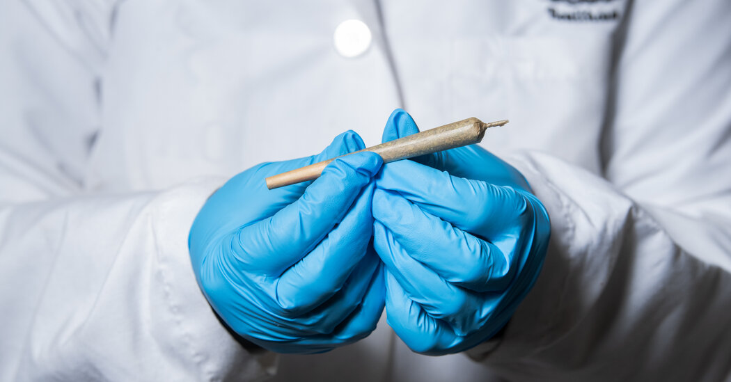 "Confronting the Dilemma: Marijuana or Firearms - Federal Law Demands a Decision"