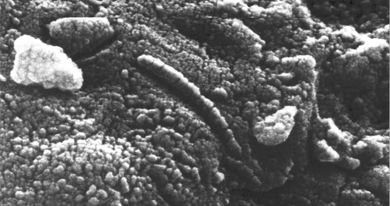 "Skywatching: Humans Land as Martian Invasion Begins"
