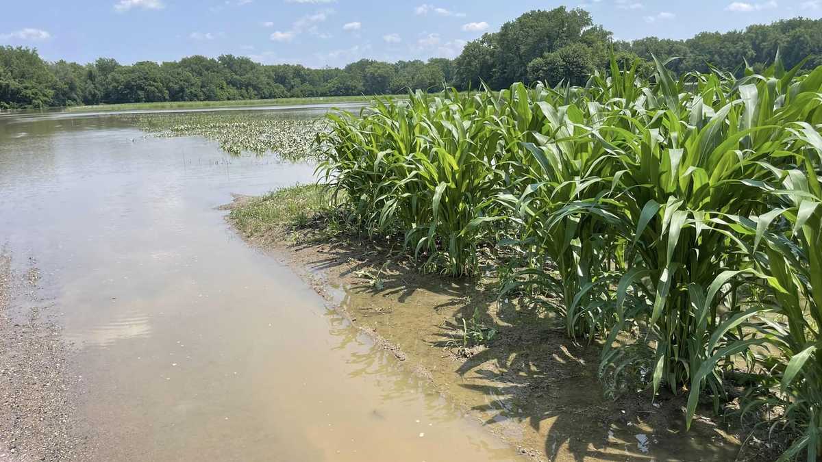 Featured image for "Floods Devastate Massachusetts Crops, Farmers Desperate for Aid"