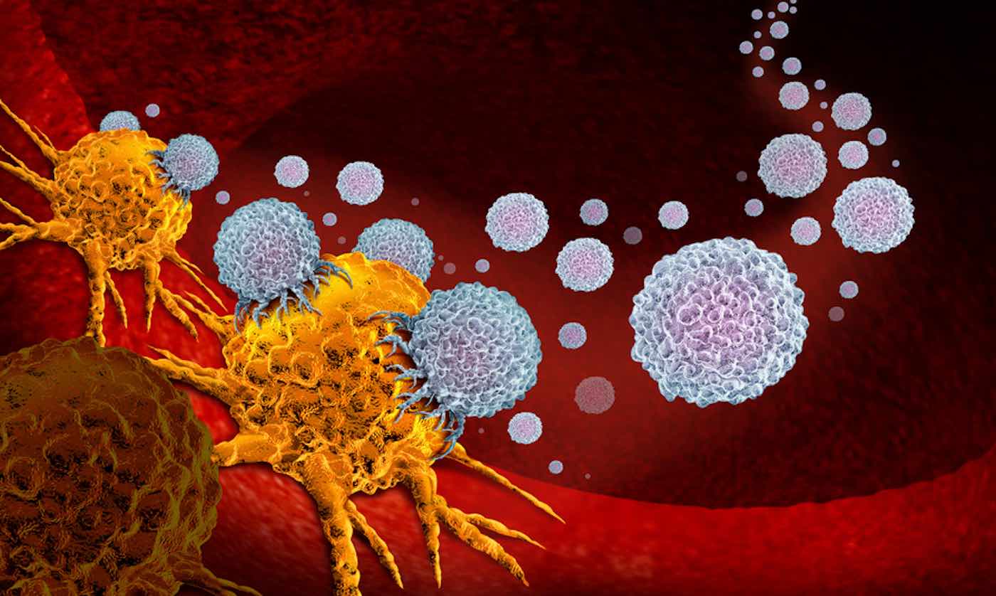Featured image for Pea Virus Boosts Cancer Immunity, Promising Affordable Treatment in Trials