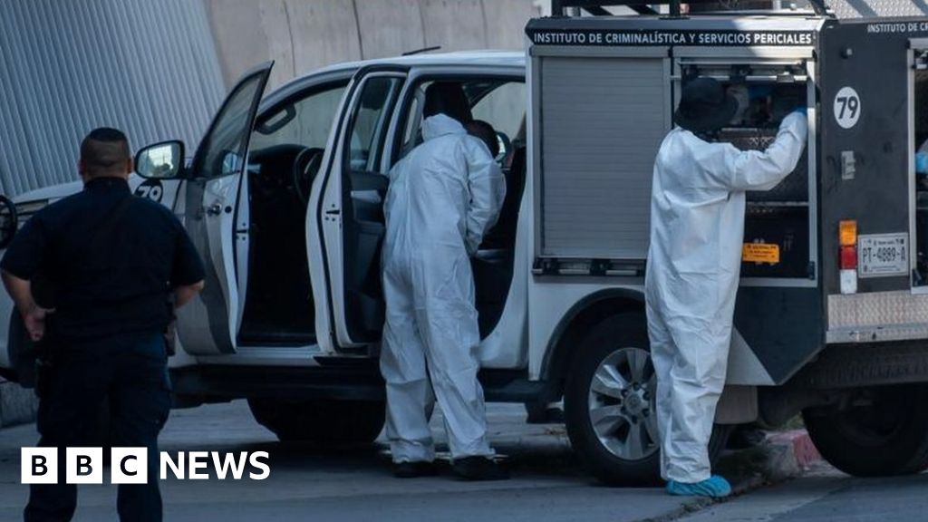 Featured image for Rampant Violence: Monterrey's Grim Reality