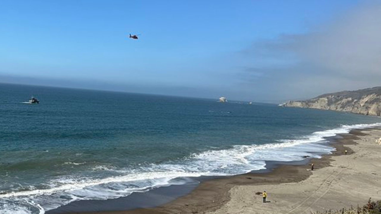 Featured image for California Swimmer Missing After Suspected Shark Attack