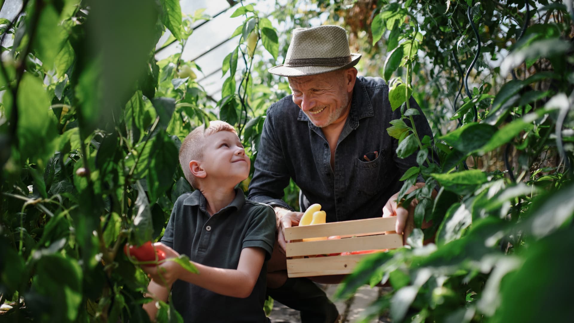 Featured image for "Unlocking the Power of an Underrated Nutrient: Boosting Brain Health for 90% of Americans"