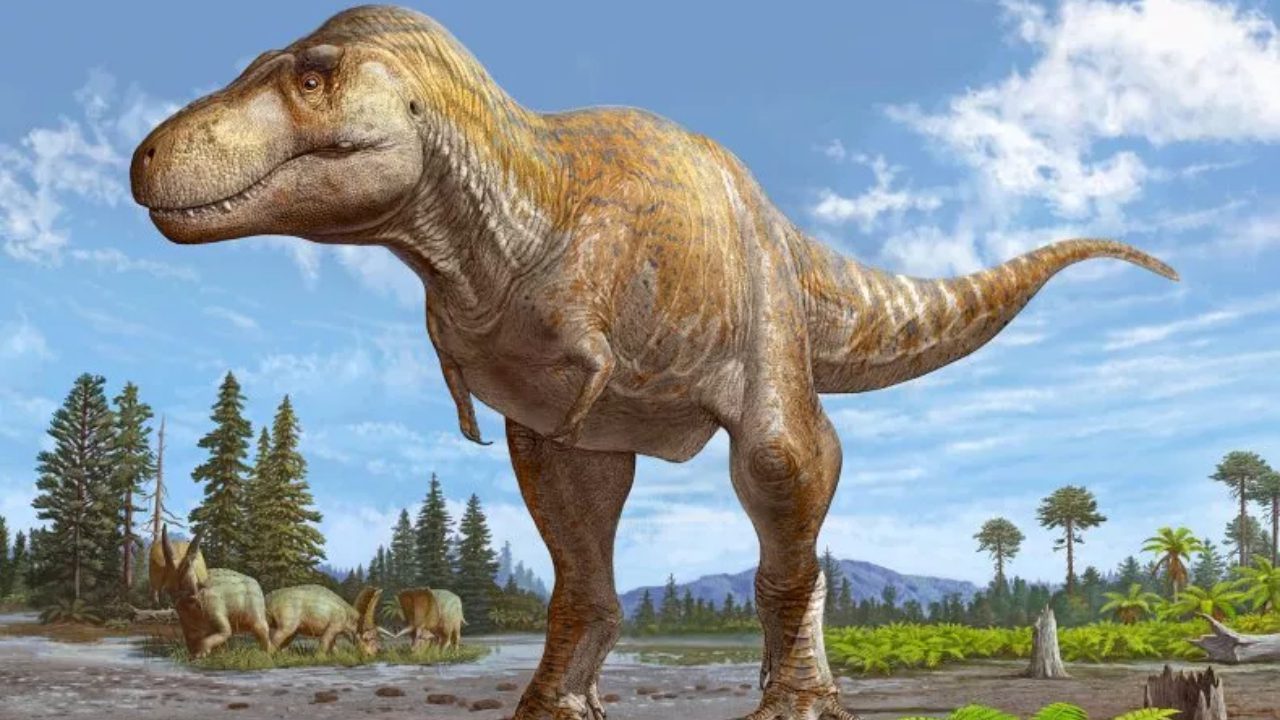 Featured image for "Newly Discovered Dinosaur in New Mexico Could Rewrite T. rex's Origin Story"