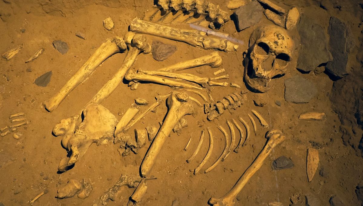 Featured image for Neanderthals in Iberia Revealed Surprising Funeral Customs