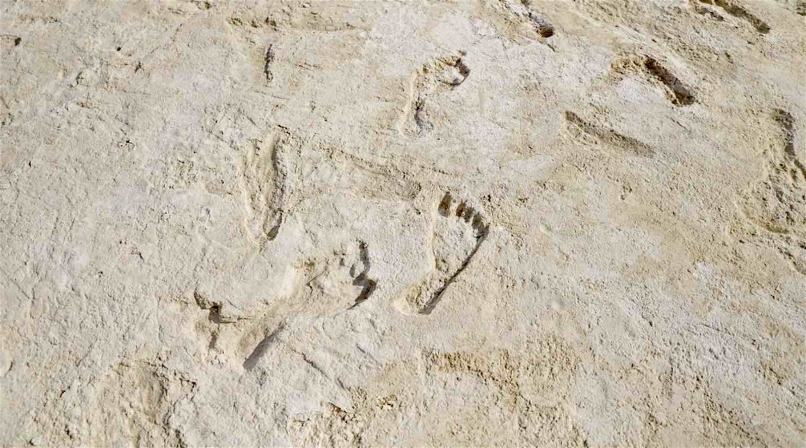 Featured image for Revised Timeline: Oldest Human Footprints in North America Rewrite History