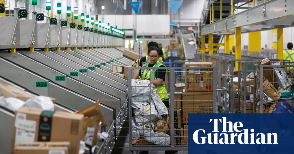 "Amazon's Peccy the Mascot Offers Gifts to Struggling Workers, According to Flyer"