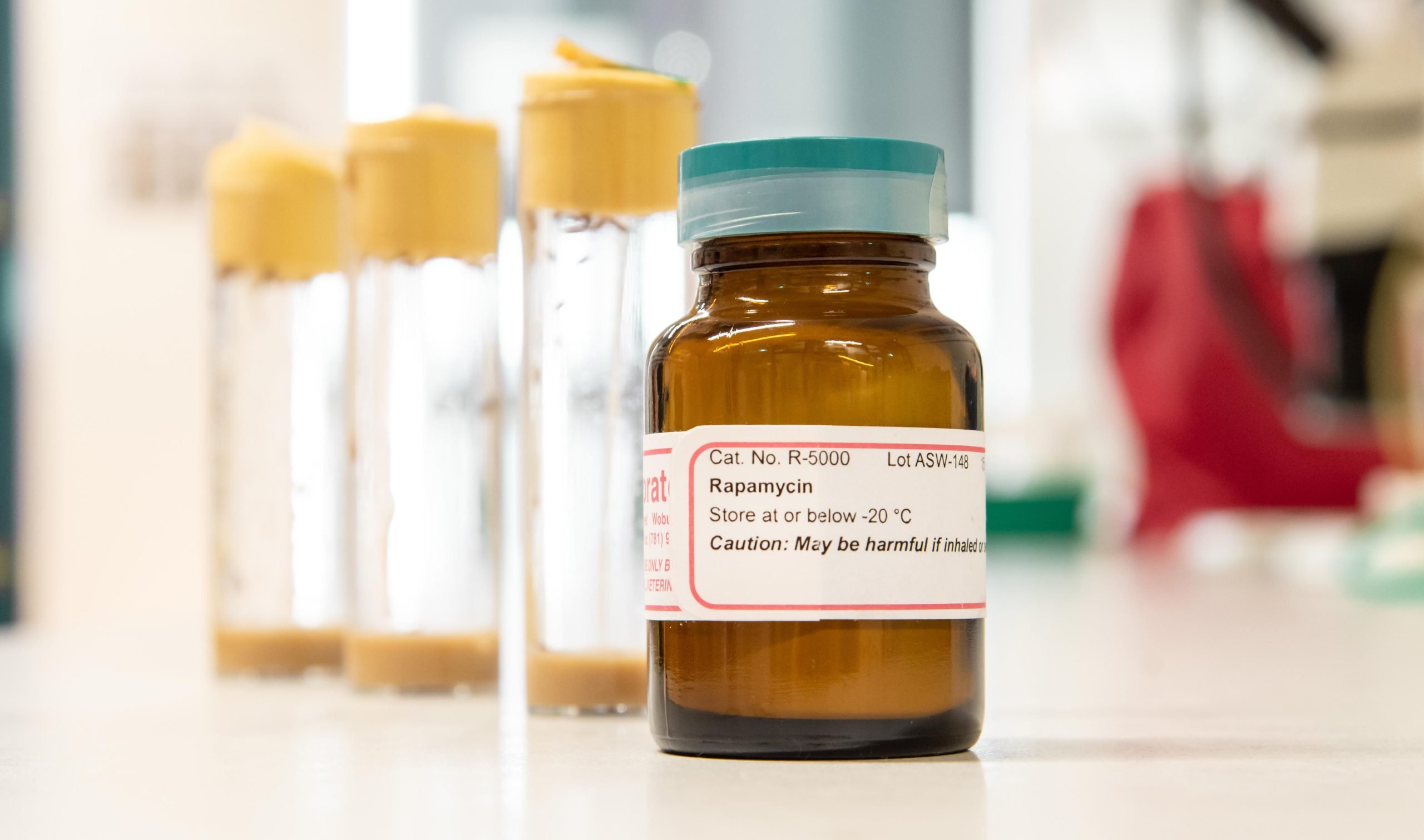 Featured image for "Redefining Aging: The Potential of Rapamycin"