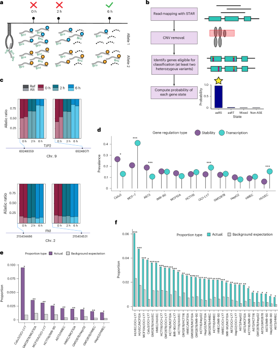 Featured image for RNA Stability and Degradation Speed Impact Disease Risk