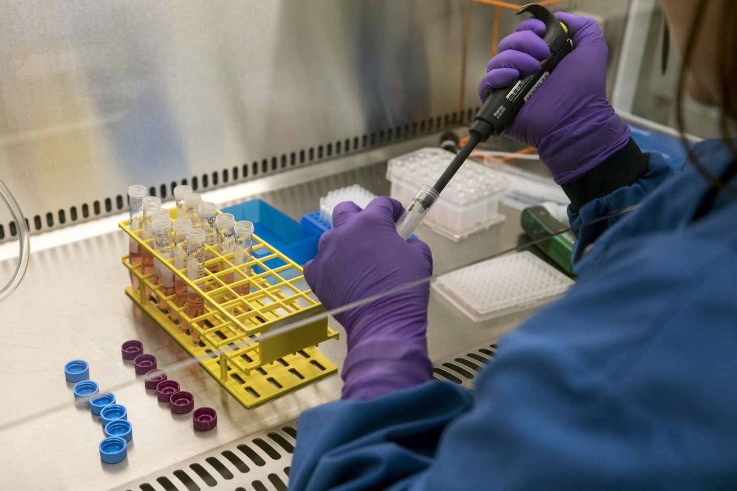 "Breakthrough: Unveiling the Secrets of Cancer with a Newly Discovered Stem Cell"