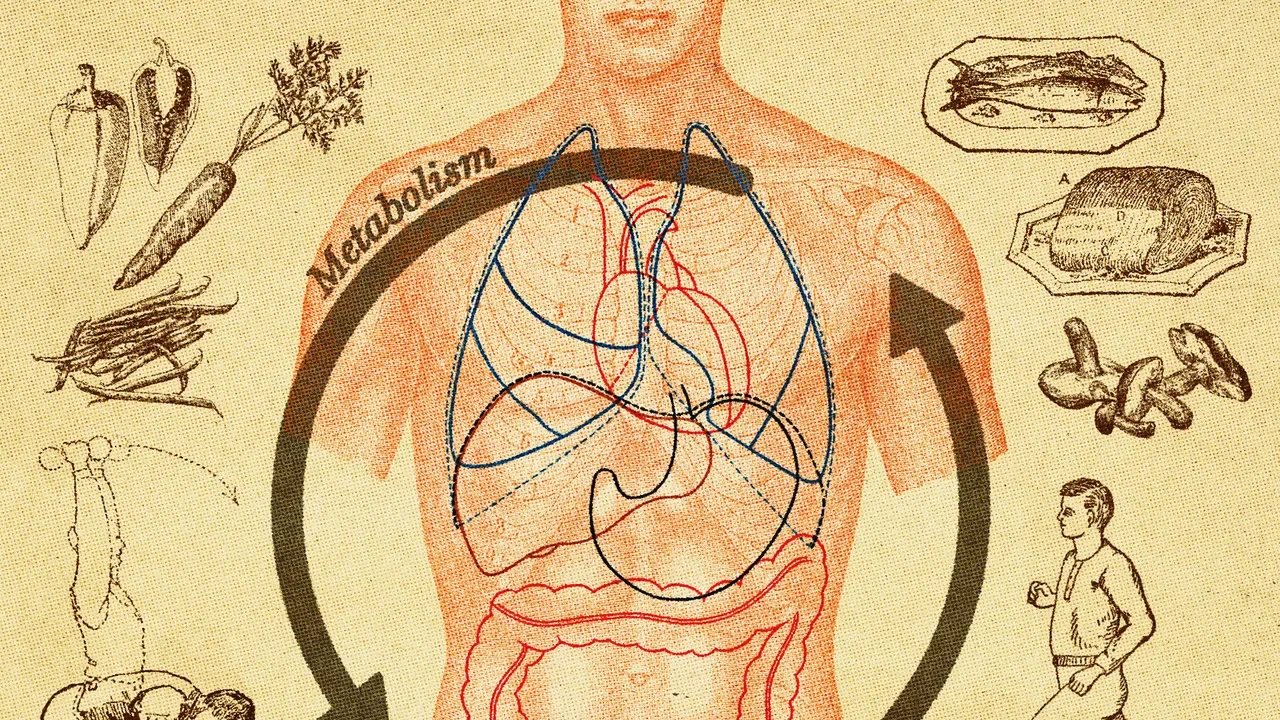 Metabolism at 35: What Really Moves the Needle.