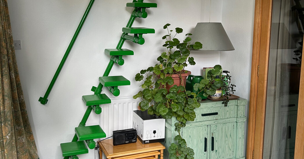 Brave the Infamous 'Death Stairs' Challenge