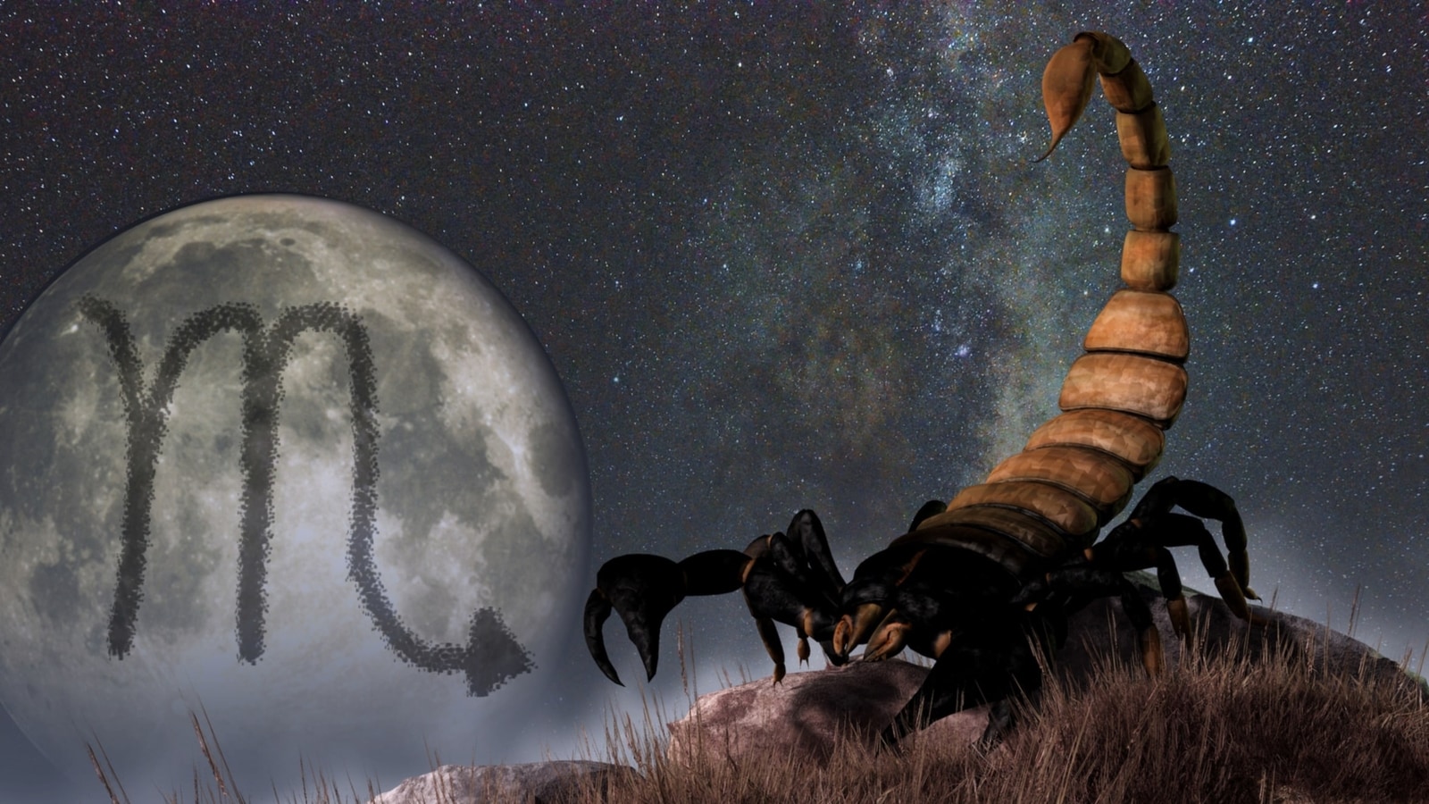 Scorpio's Intuition Guides Big Projects in December 2023