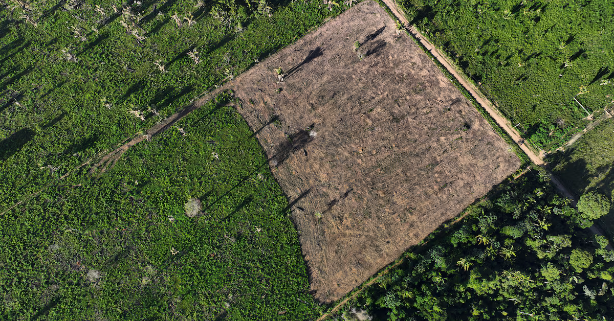 Lula's policies lead to 68% drop in Amazon deforestation.