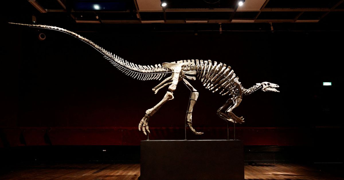 Featured image for Rare Dinosaur 'Barry' Up for Auction in Paris