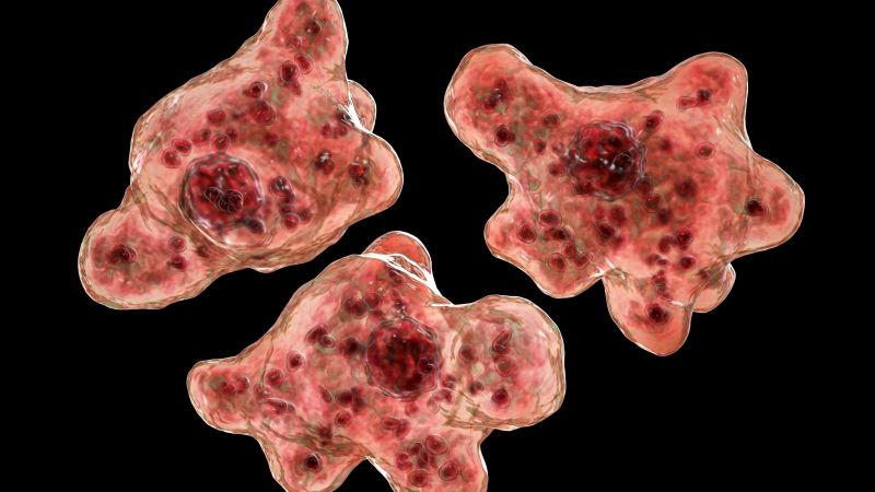 Fatal Brain-Eating Amoeba Claims Georgia Resident