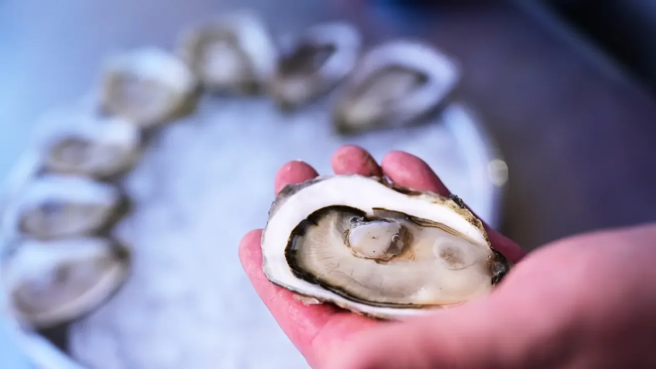 Raw Oysters Prove Fatal for Missouri Man