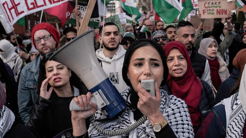 "Ireland's Pro-Palestinian Stance: A Provocative Intervention in South Africa's Genocide Case Against Israel"